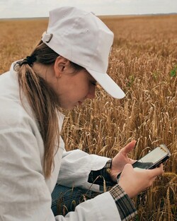 В Рязанской области обследованы посевы ярового ячменя